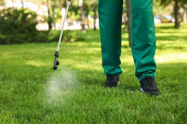 Best Pest Control Near Me  in Tri Lakes, IN