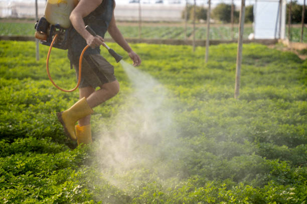 Best Wildlife Control Services  in Tri Lakes, IN
