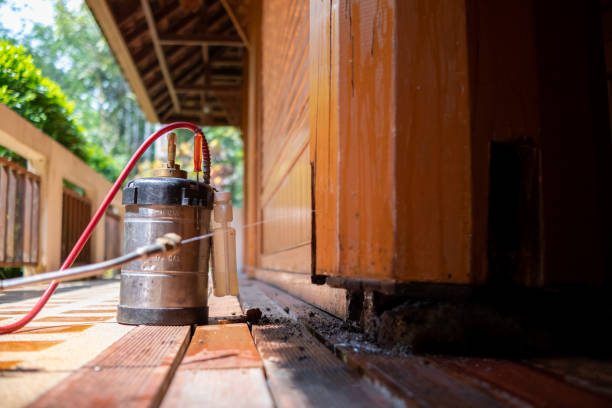 Best Mosquito Control Services  in Tri Lakes, IN