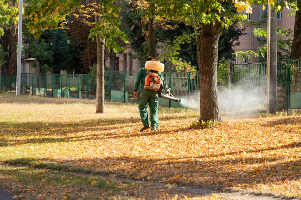 Best Termite Control Services  in Tri Lakes, IN